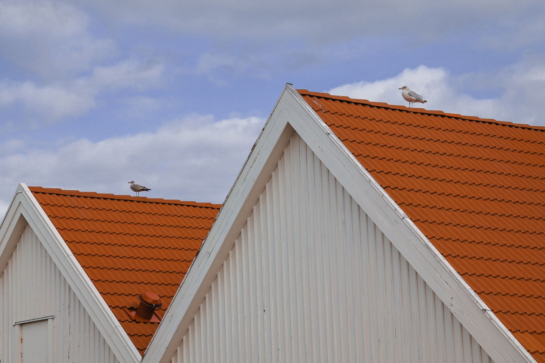 Orange tegltage og hvide gavle under en blå himmel